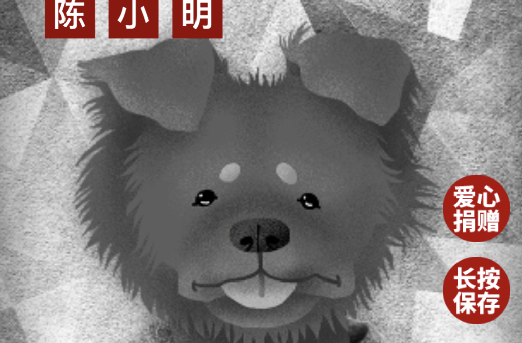 Rescuing Puppies H5 Campaign